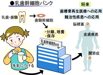 歯の定期検診 過半数が